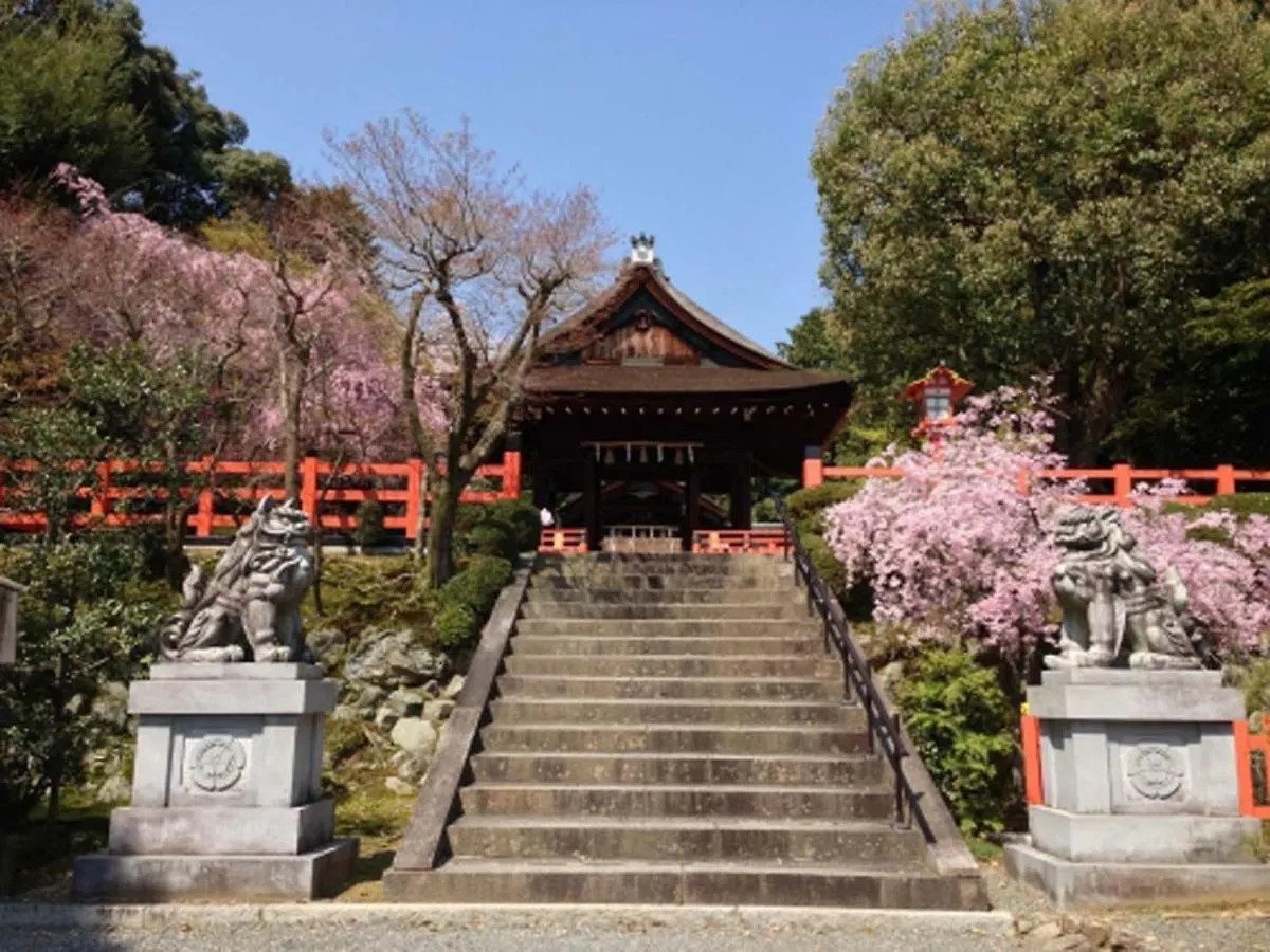 Free Bike & Free Wifi 301 Take It Easy Apartment Kyoto Japan